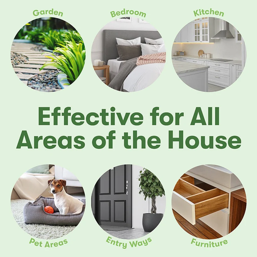 BugMD™ Essential Pest Control - Safe and Effective Pest Elimination - Image 4