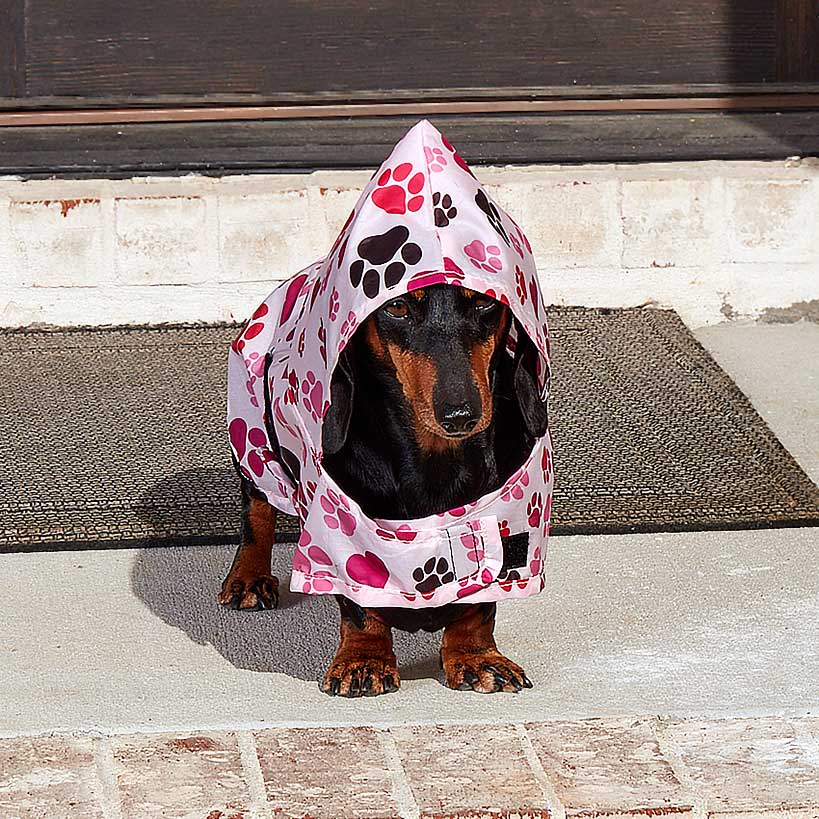 Dog Rain Poncho - Water-Resistant with Secure Belly Strap - Image 2