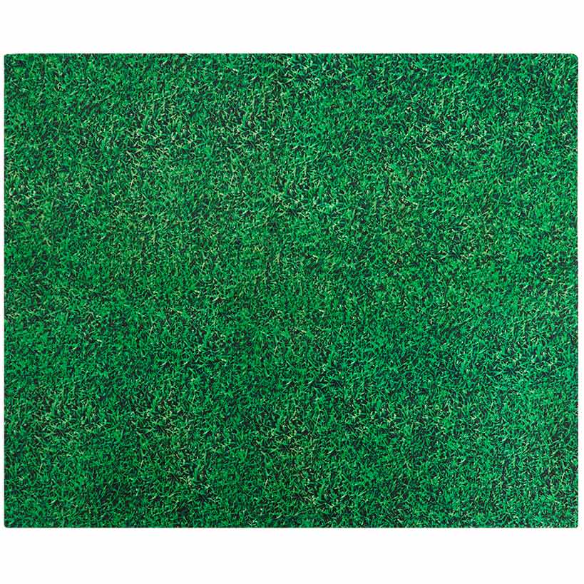 Drymate® Dog Potty Pad-Reusable, Absorbent, Waterproof, Slip-Resistant - Image 4