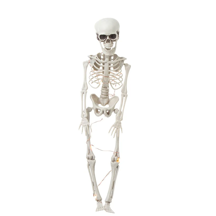 Halloween Skeleton Poseable Lighted Decor 16 Inch 35 Inch and 65 Inch - Image 5