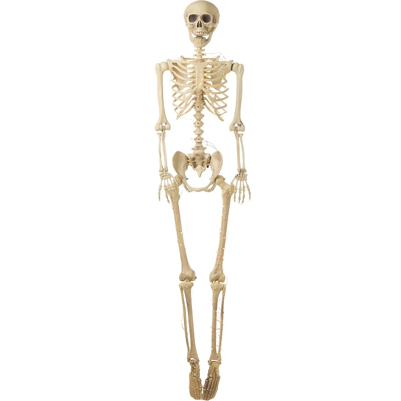 Halloween Skeleton Poseable Lighted Decor 16 Inch 35 Inch and 65 Inch - Image 7