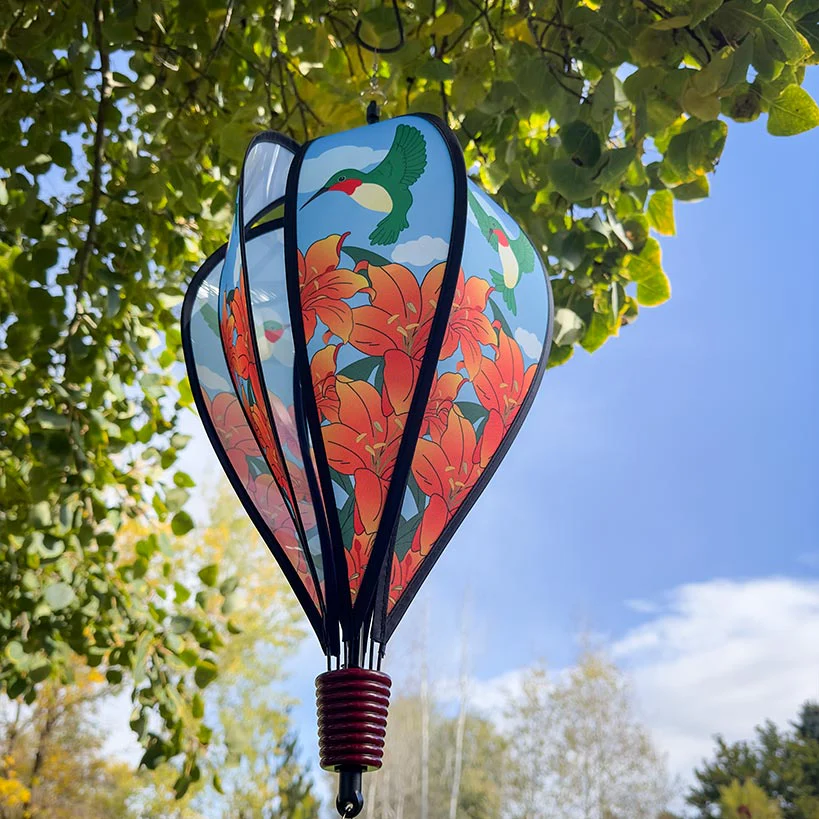 Hot Air Balloon - Image 3