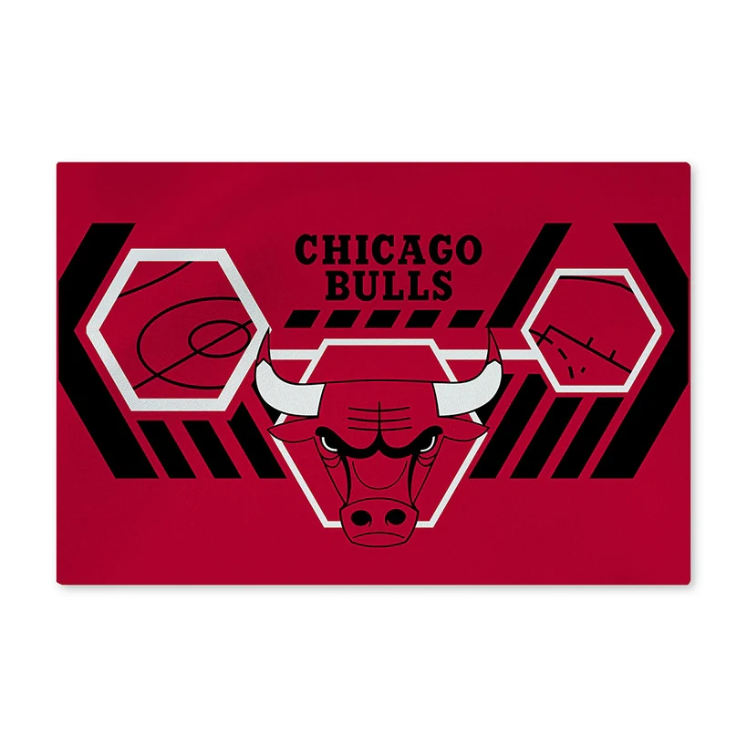 NBA Agile Washable Rug - Image 3
