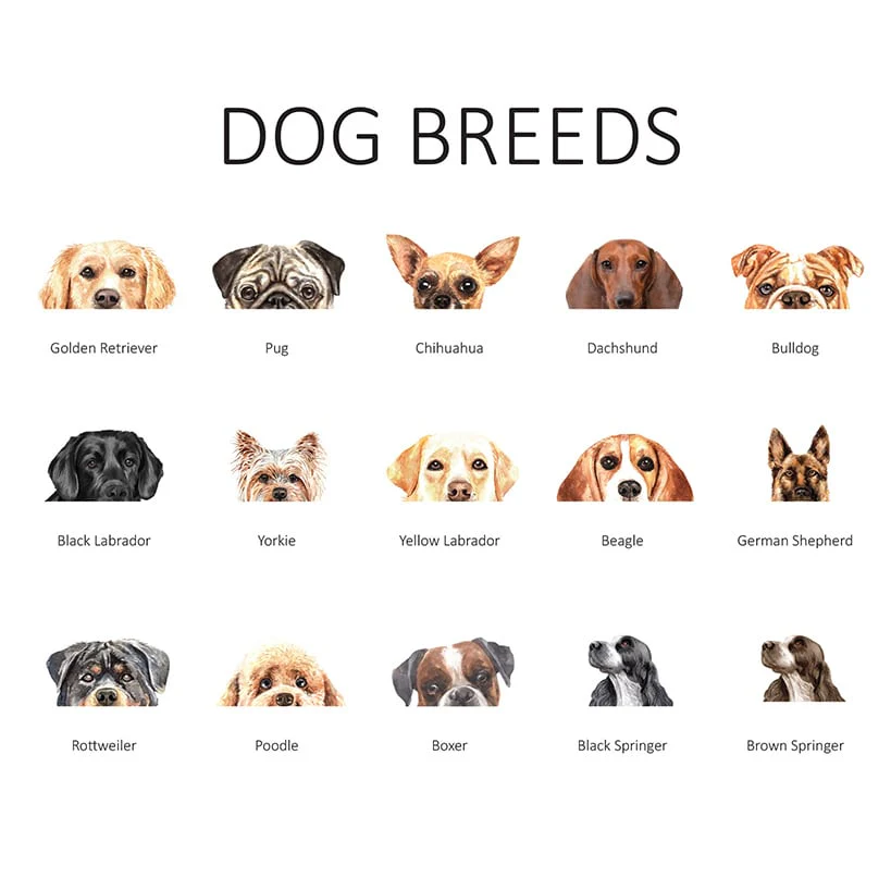 Personalized Dog Breed Mailbox Magnet - Image 3