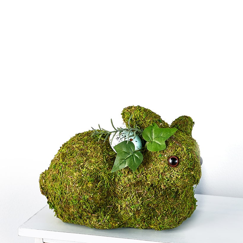 Spring Woodland Forest Home Collection - Image 4