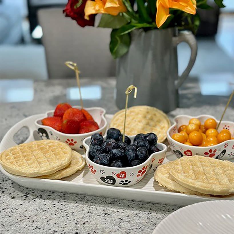 Temp-tations® Pawfetti Tabletop Collection - Image 2