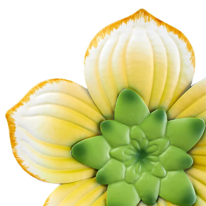Tropical Home Decor - Image 3