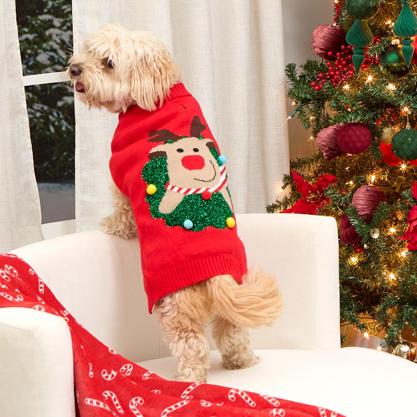Ugly Christmas Dog Sweater - Image 3